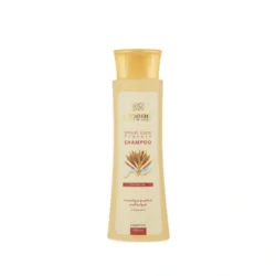 شامپو مو پروتئینه جوانه گندم سینره مدل Wheat Germ حجم 250 میلی‌لیتر #2